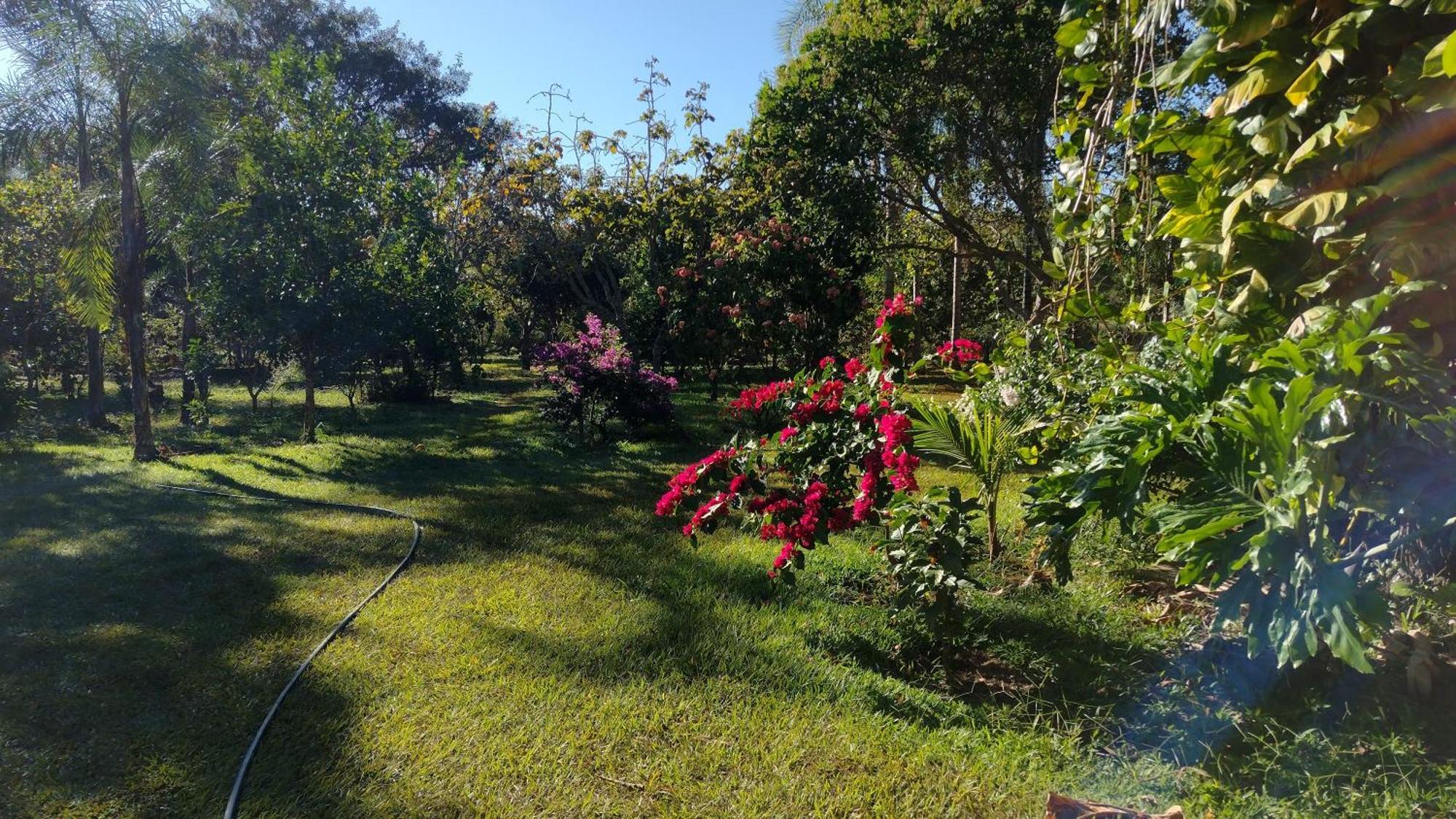 Camping Das Aguas Pirenópolis Buitenkant foto