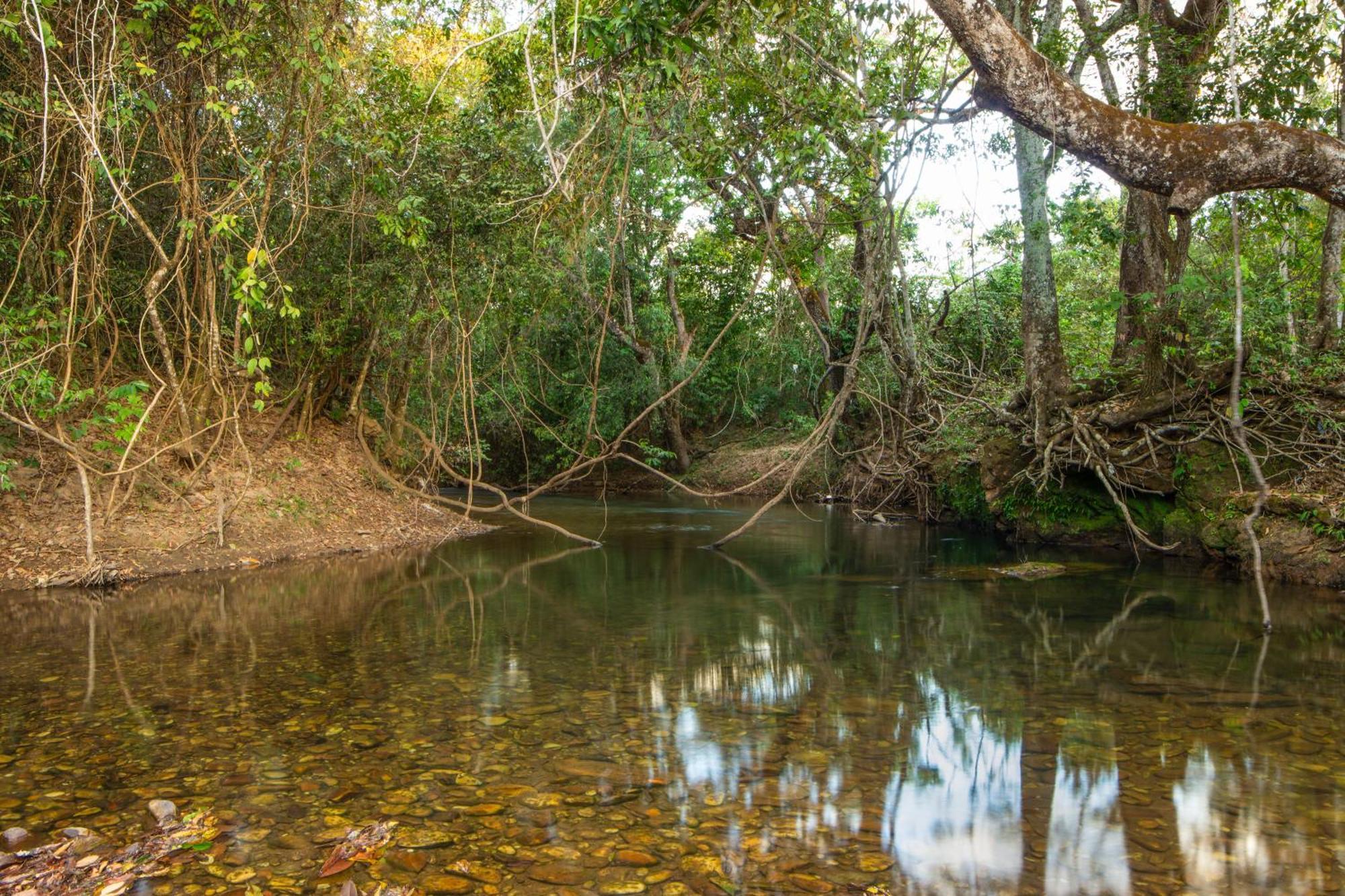 Camping Das Aguas Pirenópolis Buitenkant foto